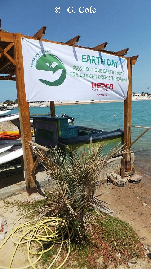 Earth Week El Gouna 0100